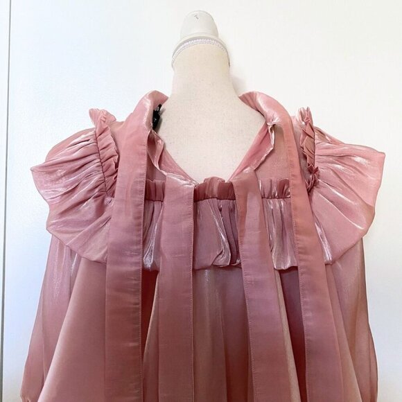 SISTER JANE OLD PINK RUFFLE RHINESTONE ORGANZA LOOSE FIT BLOUSE - XS - Picture 8 of 14